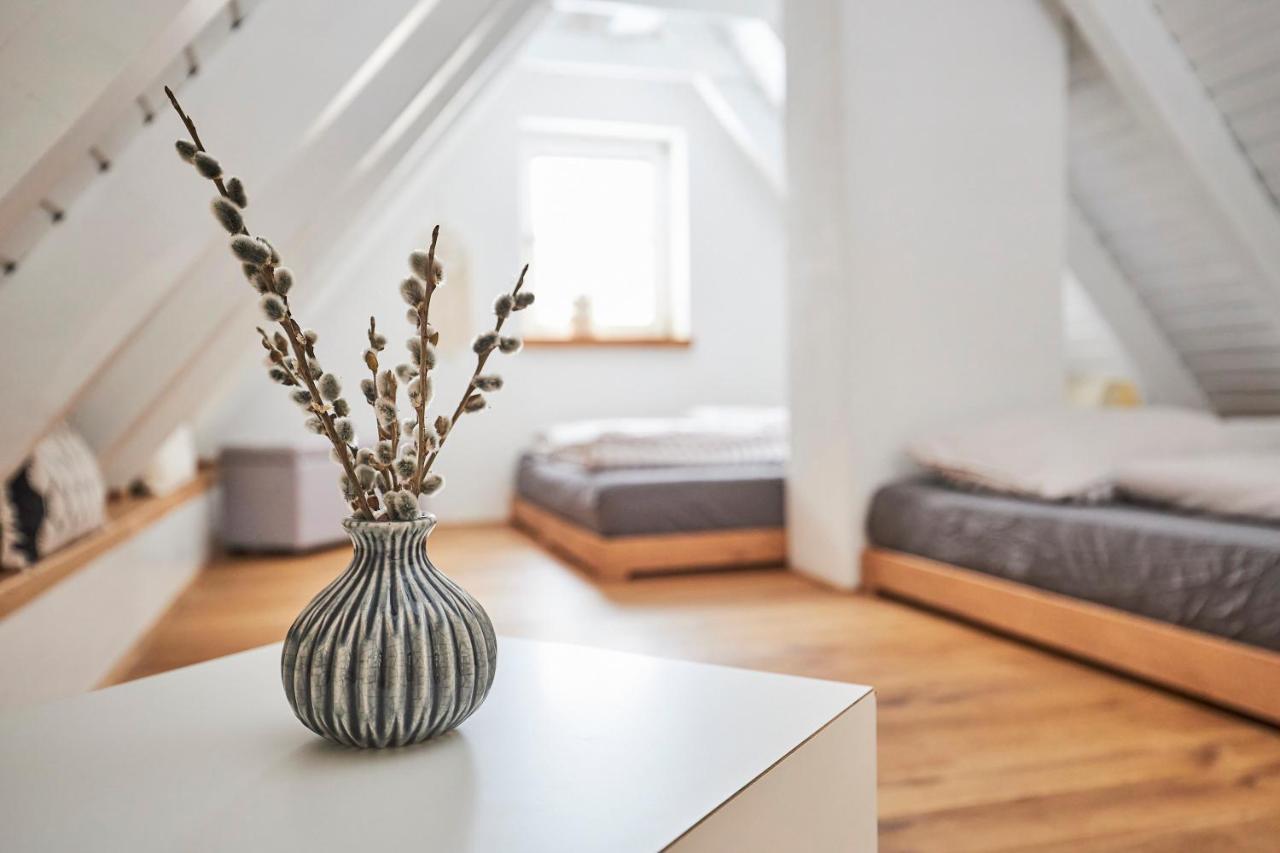 Komfortables Ferienhaus - Traumhafte Entspannung In Purer Natur Gellershausen Extérieur photo
